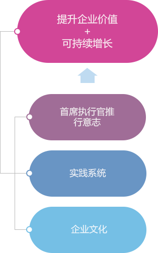 최고경영자(CEO)추진의지 + 실천시스템(conducting system) + 기업문화(corporate culture) = 기업가치제고+지속가능성장