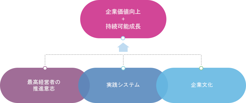 최고경영자(CEO)추진의지 + 실천시스템(conducting system) + 기업문화(corporate culture) = 기업가치제고+지속가능성장